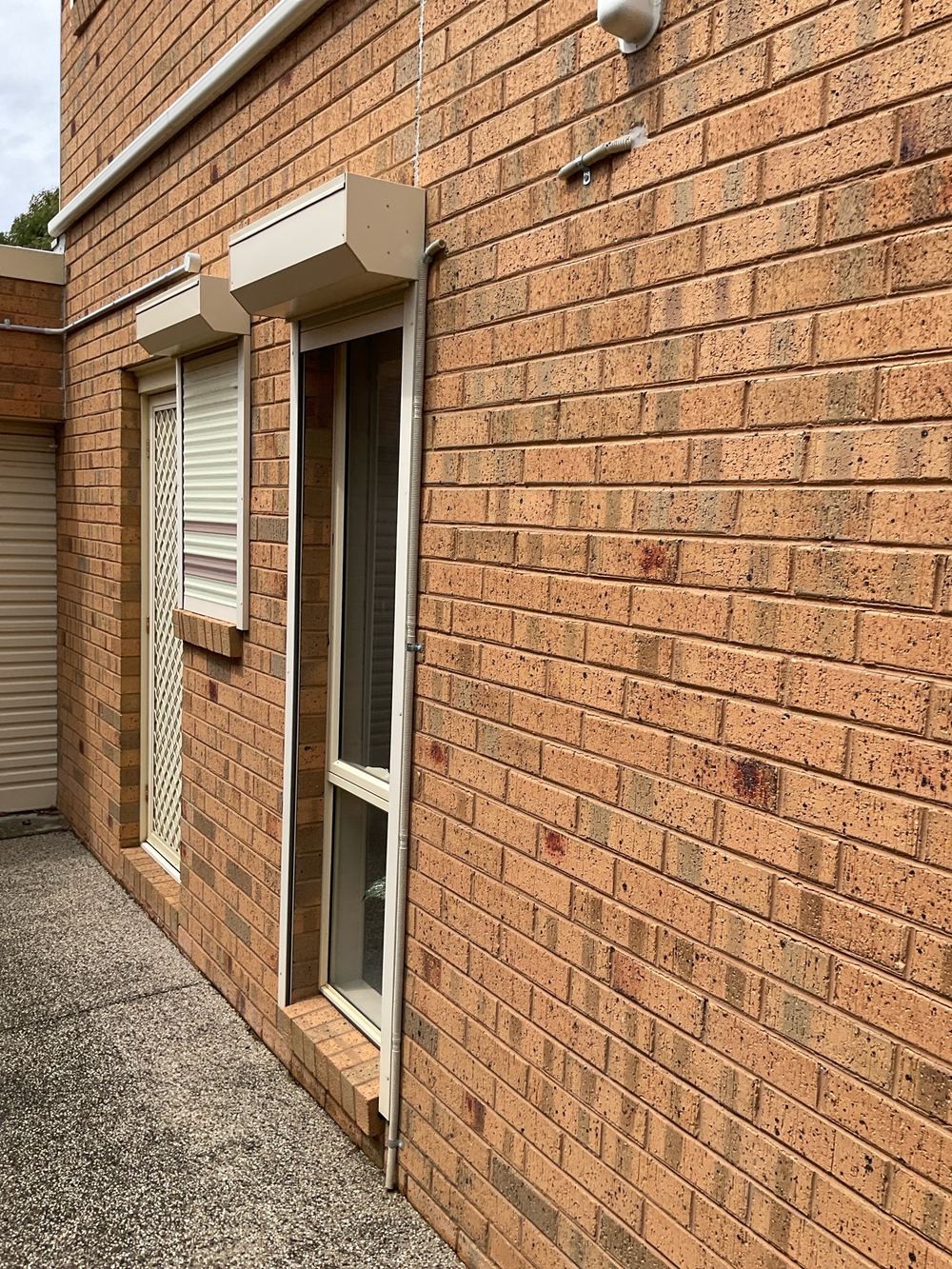 What a timber pest inspection covers in Werribee